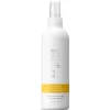 Philip Kingsley Maximizer Root Volumising Spray 250ml 2 Philip Kingsley Maximizer Root Volumising Spray 250ml -No Hair care products shop, no kiss. 10305531 1404967693636349