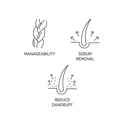 System Professional Purify Shampoo 250ml -No Hair care products shop, no kiss. 11314979 1674853362914498