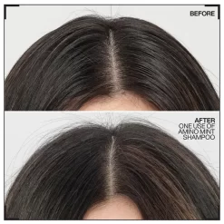 Redken Retail Amino-Mint Scalp Shampoo 300ml 13 Redken Retail Amino-Mint Scalp Shampoo 300ml -No Hair care products shop, no kiss. 13441948 1754924099041627