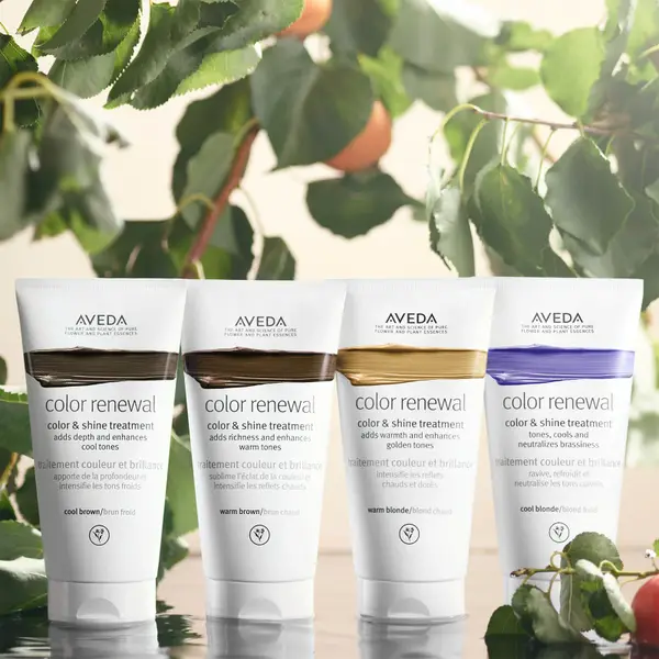 Aveda Colour Renewal Colour And Shine Treatment - Cool Brown 150ml 5 Aveda Colour Renewal Colour And Shine Treatment - Cool Brown 150ml - Image 3